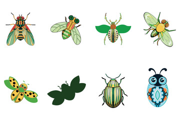 Colorful Cartoon Insects Isolated on White Background