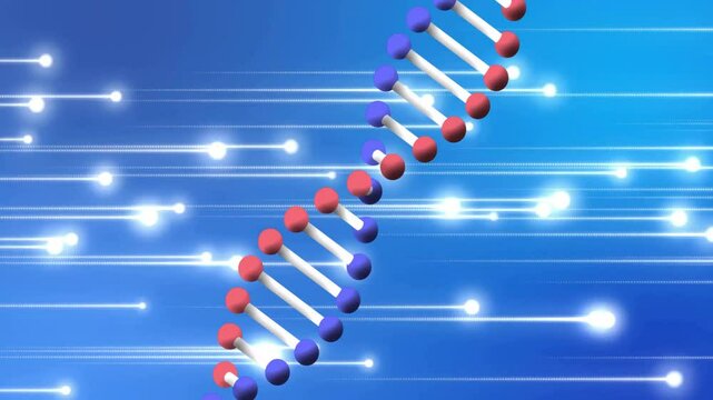 Red and blue spheres appearing then joining via rods forming rotating DNA helix within black circle