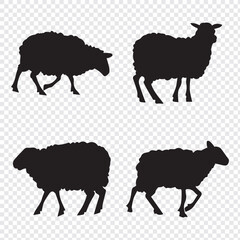 Sheep Silhouette. Sheep Vector Illustration. Sheep silhouette icon vector. Farm sheep, glyph, solid icon. Livestock concept. Lamb icon vector illustration. Silhouette vector .