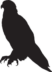 eagle silhouette vector