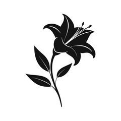 Lily flower silhouette black icon vector illustration on white background.