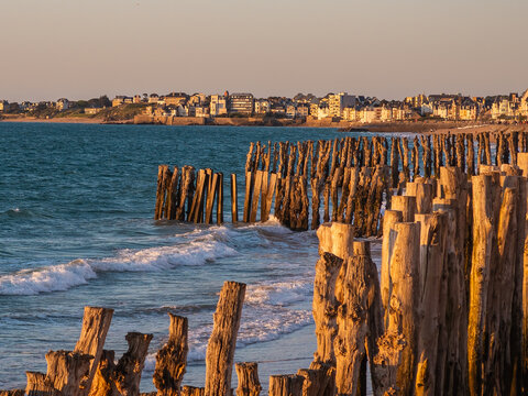 Photo of weathered wooden breakwaters along the Sillon beach in Saint-Malo, France, lit by warm sunset light. Waves, sea and coastal town in the background.