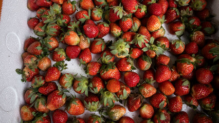 strawberry at the market