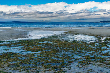 Alki Super Low Tide 2