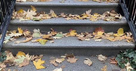 Autumn leaves cover gray concrete steps