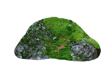 green stone, stone with moss isolated on white background © Svitlana