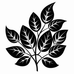 leaf cluster silhouette vector black on white background