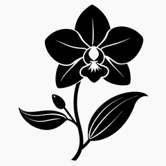 orchid silhouette vector black on white background