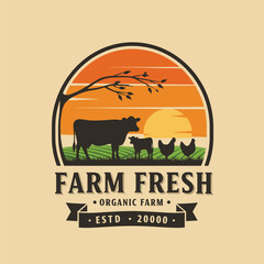 cattle, cow, angus, beef, dairy farm logo inspiration. livestock or farm design template. vector illustration vintage retro,emblem,sign,symbol