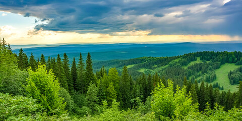 Vast coniferous forest landscape under a dramatic stormy sky