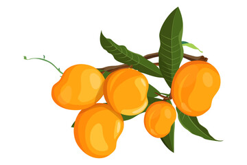 Mango fruit with leaf vector design. Organic fruit.. mango fruit vector illustration