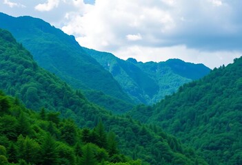 Obraz premium Lush green mountain range, dense forest, scenic outdoor landscape , environment, sunlight