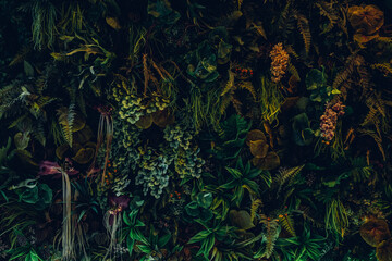 Close up group of background tropical green leaves texture and abstract background. Tropical leaf nature concept.