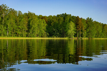 lake in the forest