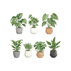 Fototapeta premium herbs in a pot