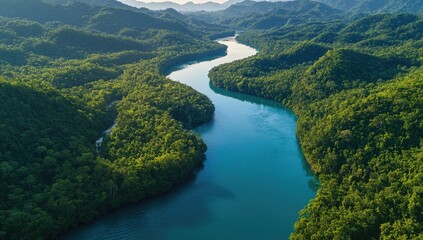 Lush river winding through dense, verdant hills
