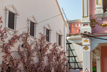 Phuket Old Town - Pink Roses