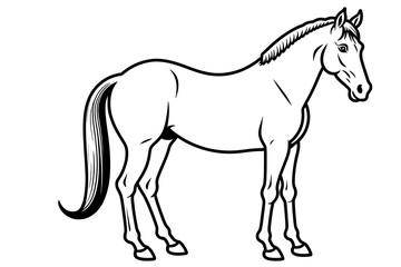 Horse Illustration-Black and White Outline of a Standing Horse-Classic Horse Image-Equestrian Art-Horse Drawing for Coloring Pages-Horse Silhouette-Farm Animal Illustration