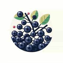 Illustration of a cluster of dark berries with leaves in a circular composition