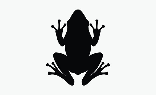 Frog silhouette , amphibian icon collection, wildlife vector illustration