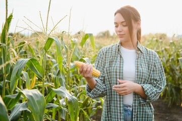 Agriculture concept. Farmer woman in corn field works. Business Farm.