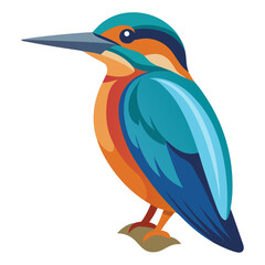 bird vector illustration