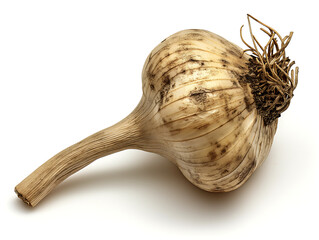 Whole bulb of garlic with natural root on white background, fresh raw cooking ingredient