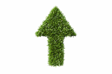 arrow from green grass