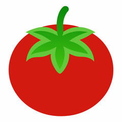 tomato on a green background