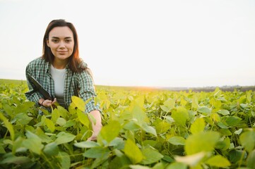 Caucasian female farm worker inspecting soy at field summer evening time