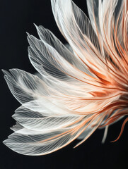 Close-Up of a Fragile Dandelion in Dramatic Darkness