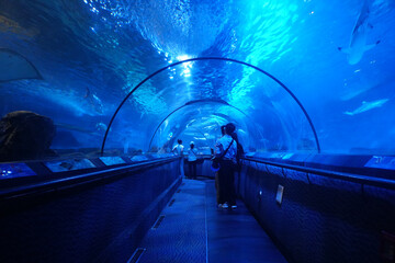 Tourists walk through a glass tunnel to see fish in Ocean Aquarium.  