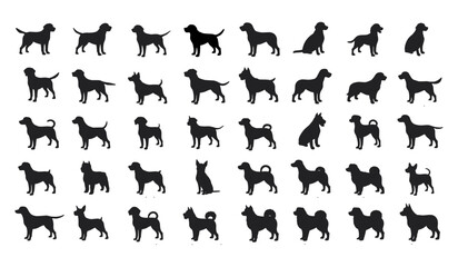 A Variety of Canine Breeds in Different Poses, Perfect for Pet-Related Designs and Animal Themes