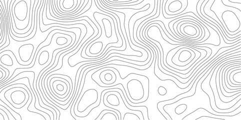 Topographic map background. Topo contour map on white background. 
