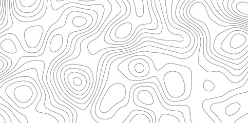 Topographic map background. Topo contour map on white background. 
