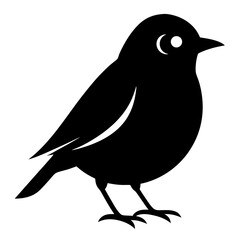 bird vector illustration