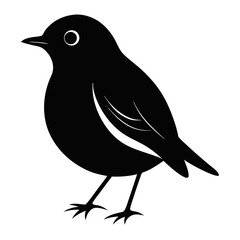 Obraz premium bird vector illustration