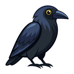 bird vector illustration