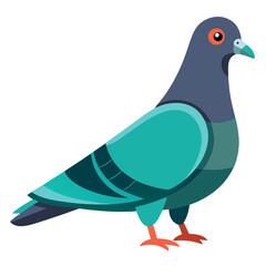 bird vector illustration