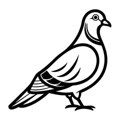 bird vector illustration