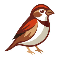 bird vector illustration