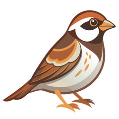 bird vector illustration