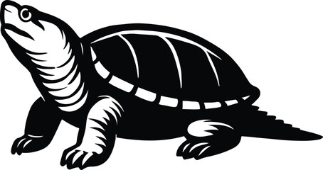 Turtle vintage black and white illustration, Old fashioned turtle drawing minimal style