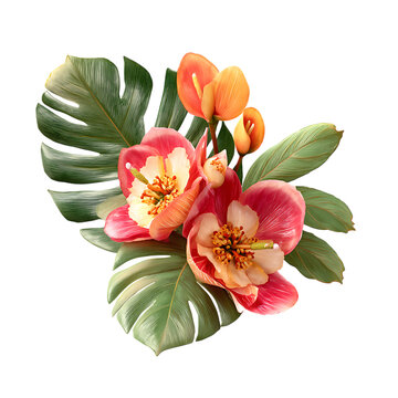 Flores tropicales png