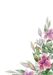 Delicate vertical watercolor composition Pink and white lilies and green leaves from the corners against a spacious white backdrop. Ideal for wadding invitation, book layouts, or elegant branding.