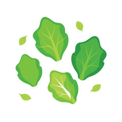 Vibrant Green Leafy Vegetables Fresh, Healthy, and Delicious