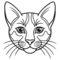 vector illustration of a cat