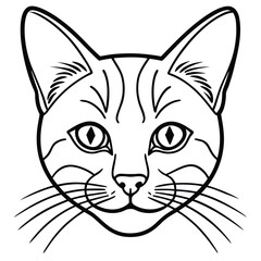 vector illustration of a cat