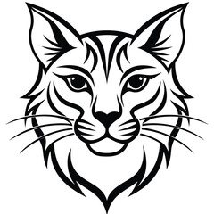 vector illustration of a cat