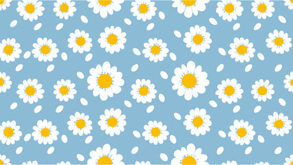 Seamless pattern of white daisies with yellow centers and white petals on a light blue background